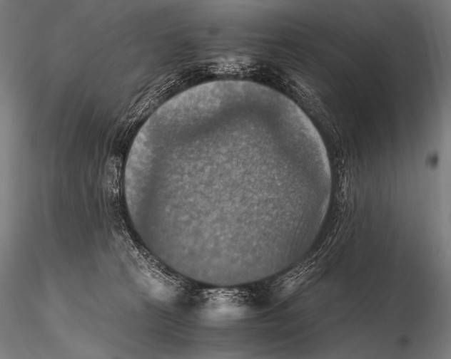 X0000115410273200912011347