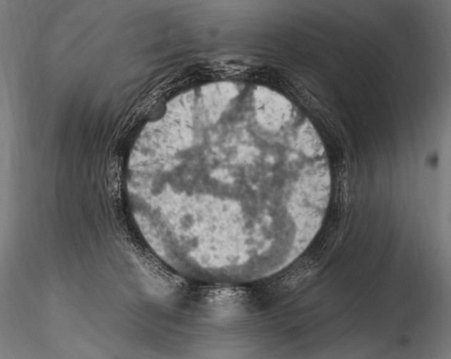 X0000115410274200912011347