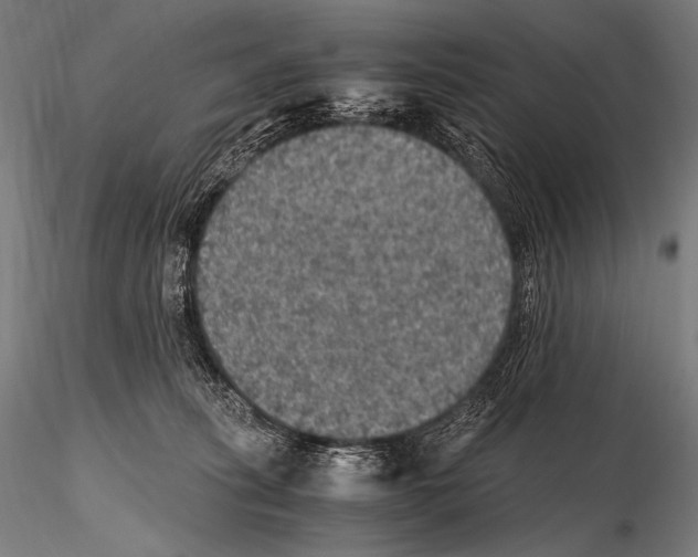 X0000115410275200912011347