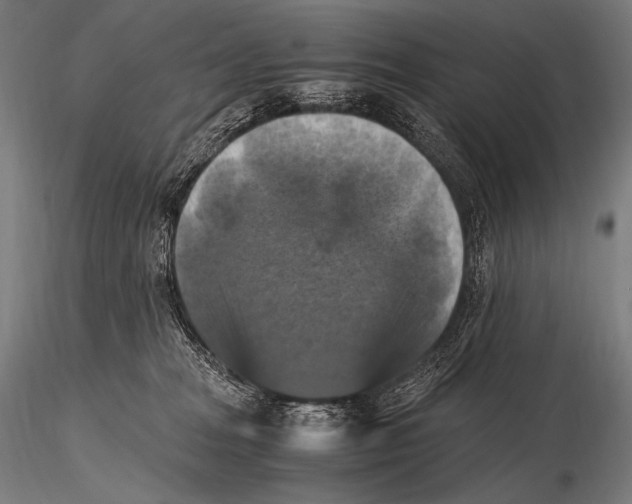 X0000115410277200912011347