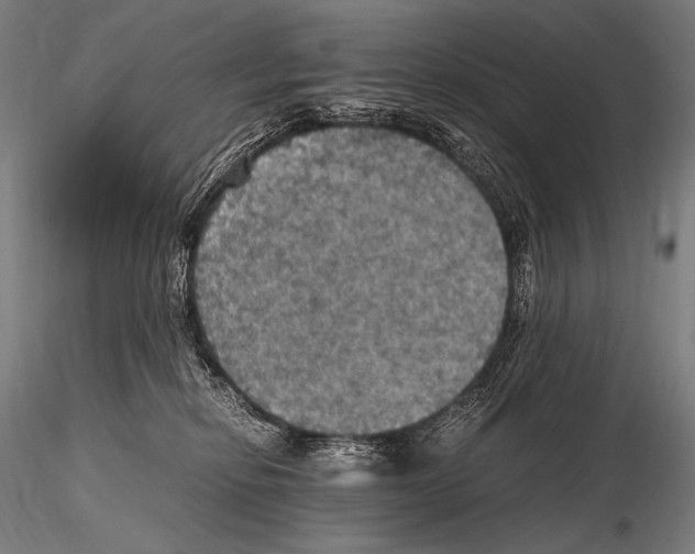 X0000115410278200912011347