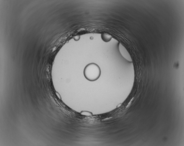 X0000115410280200912011347