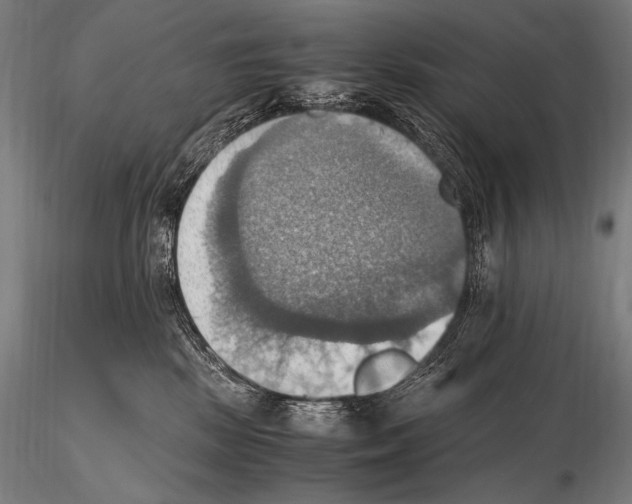 X0000115410281200912011347