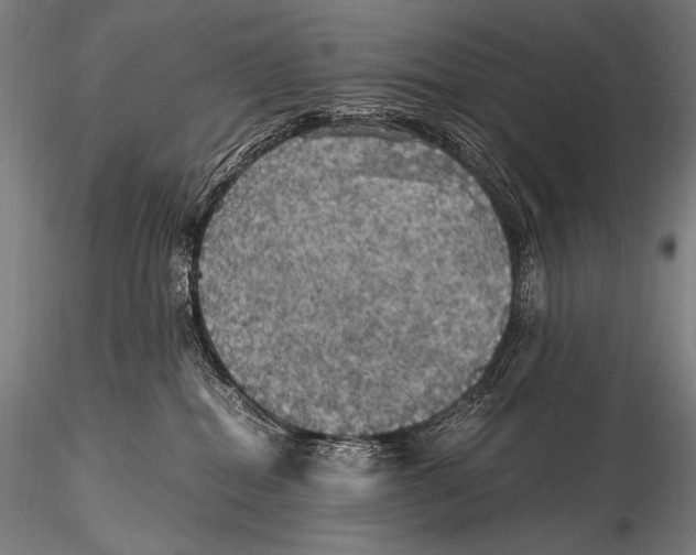 X0000115410282200912011347