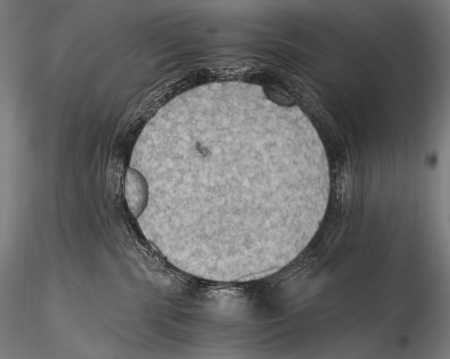 X0000115410283200912011347