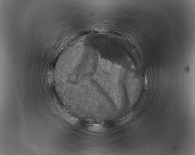 X0000115410285200912011347