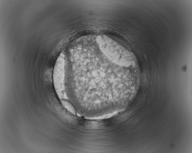 X0000115410286200912011347