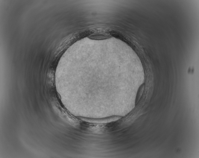 X0000115410288200912011347