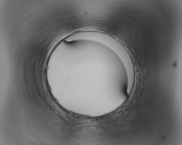 X0000115410289200912011347