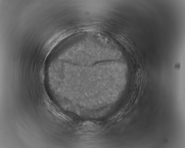 X0000115410290200912011347