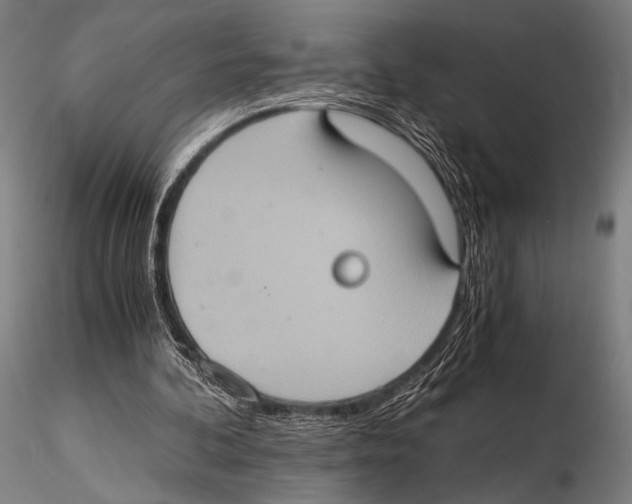 X0000115410292200912011347