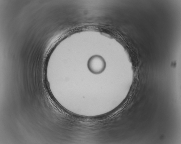 X0000115410293200912011347