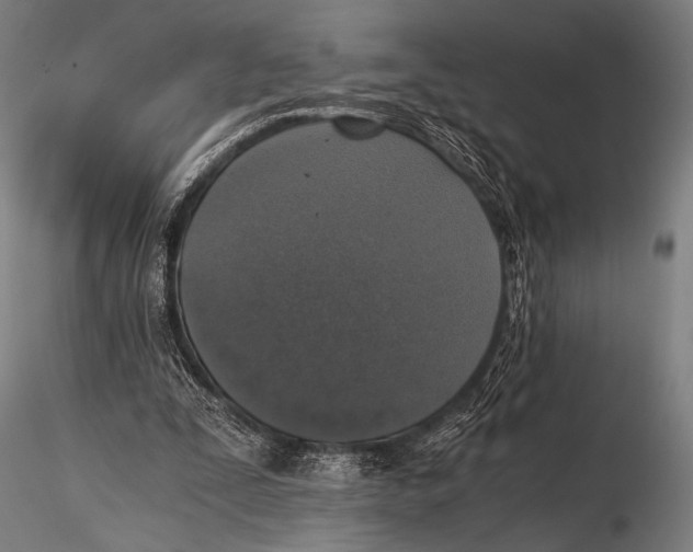 X0000115410295200912011347