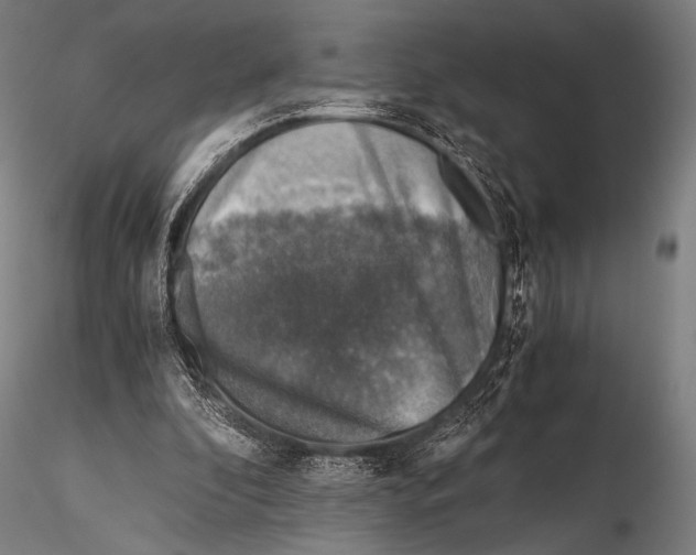 X0000115410296200912011346