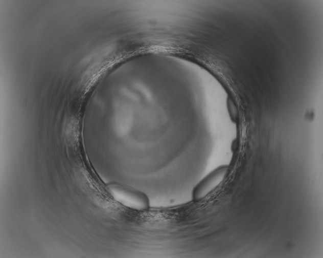 X0000115410297200912011346