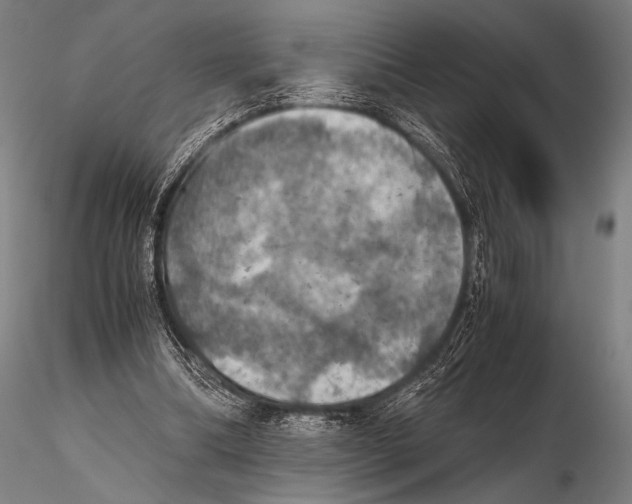 X0000115410298200912011346