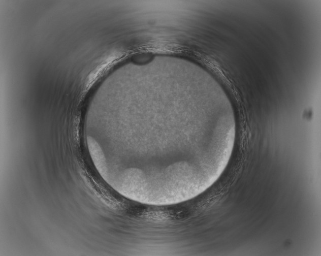 X0000115410299200912011346