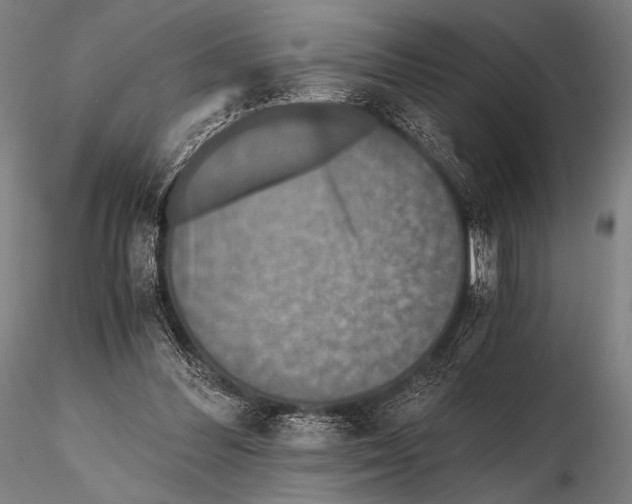 X0000115410300200912011346