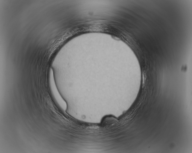 X0000115410301200912011346