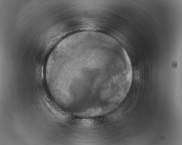 X0000115410302200912011346