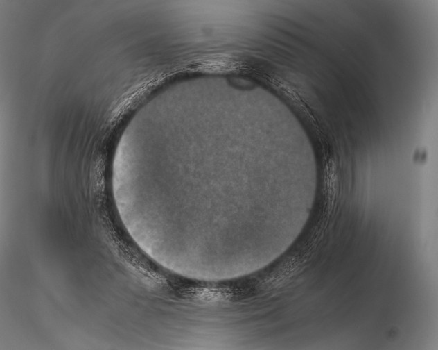 X0000115410303200912011346