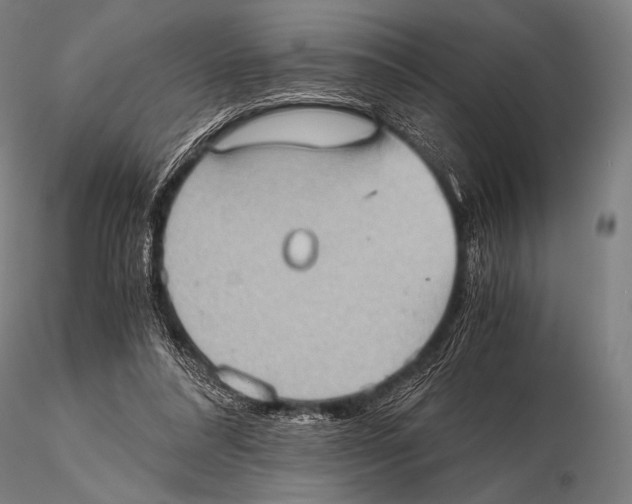 X0000115410304200912011346