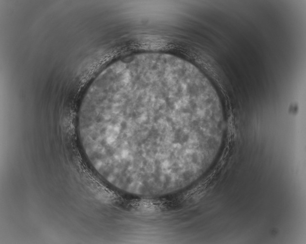 X0000115410305200912011346