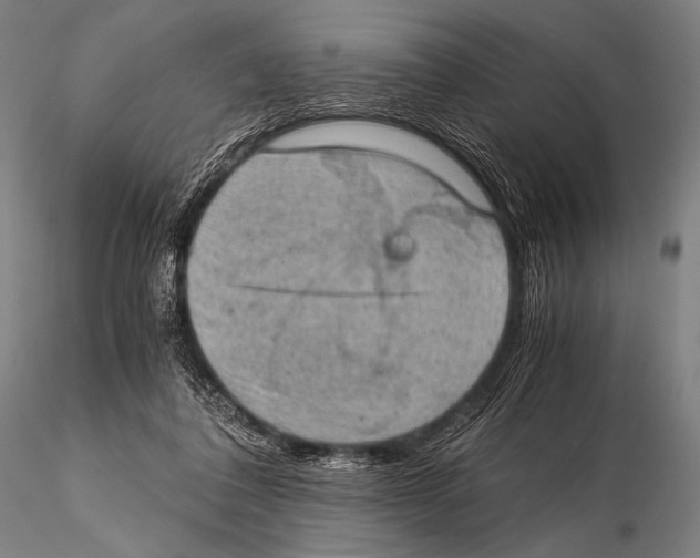 X0000115410308200912011346