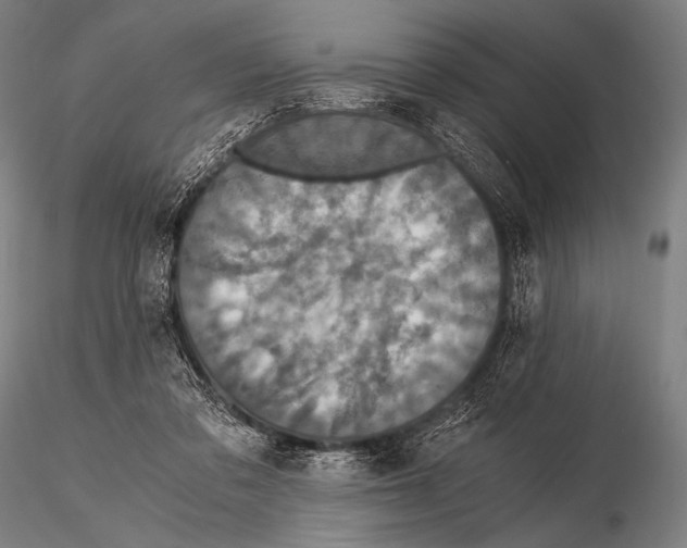 X0000115410309200912011346