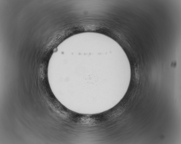 X0000115410311200912011346