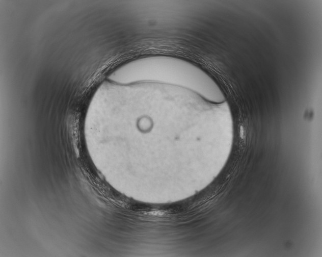 X0000115410312200912011346