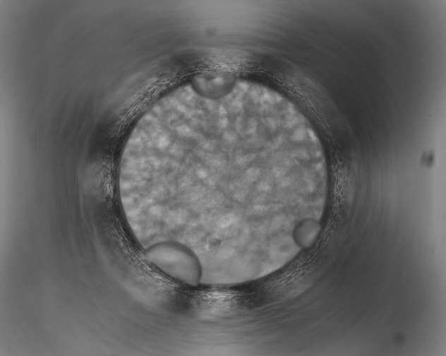 X0000115410313200912011346