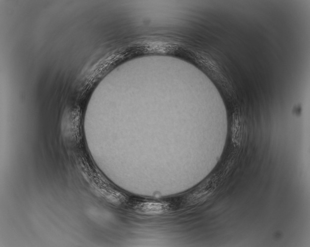 X0000115410314200912011346