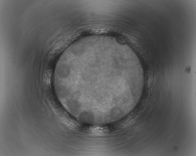 X0000115410315200912011346