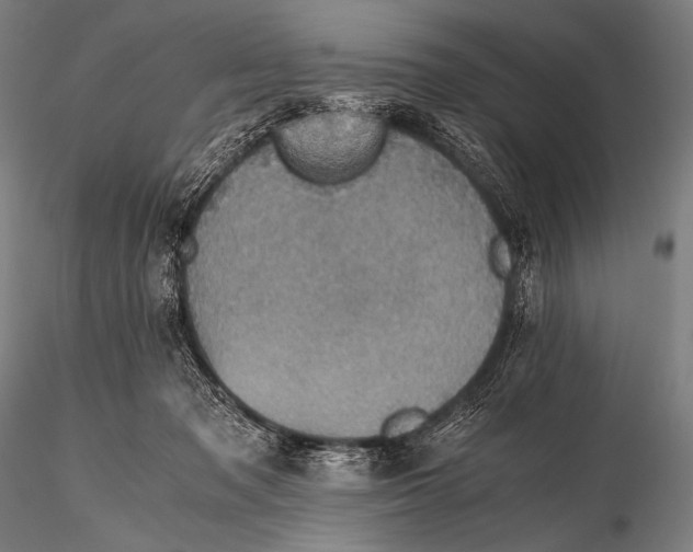 X0000115410317200912011346