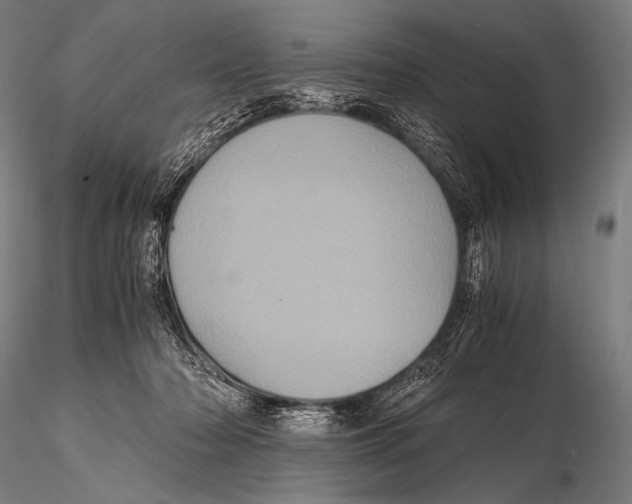 X0000115410318200912011346