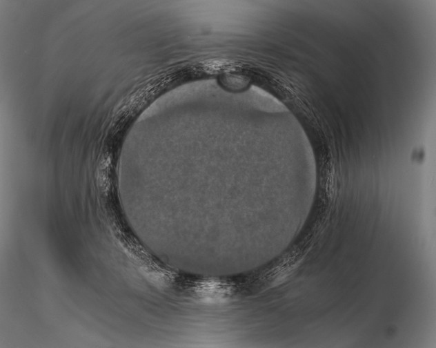 X0000115410319200912011346