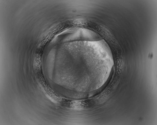 X0000115410320200912011346