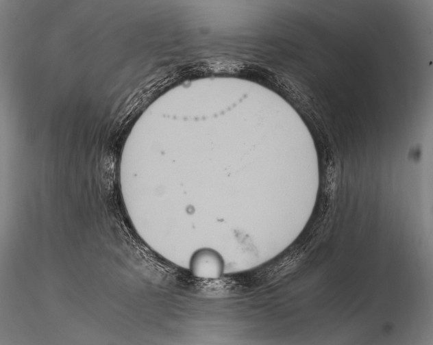 X0000115410321200912011346