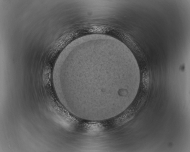 X0000115410322200912011346