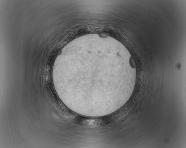 X0000115410323200912011346