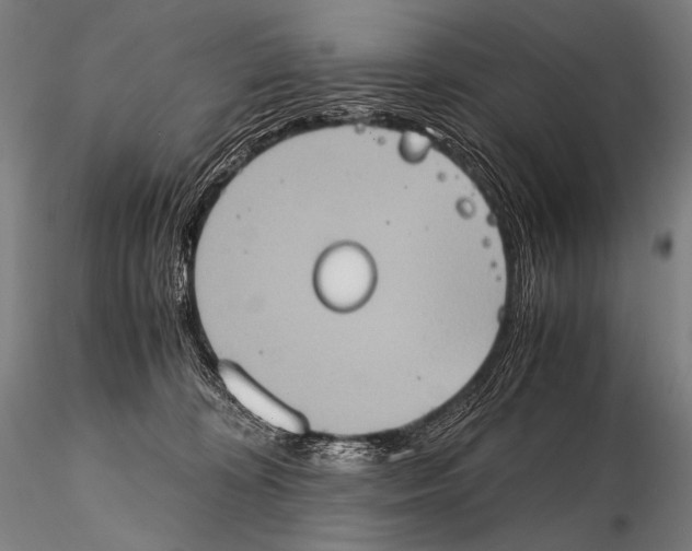 X0000115410324200912011346