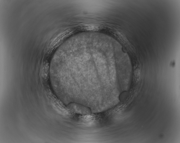 X0000115410325200912011346