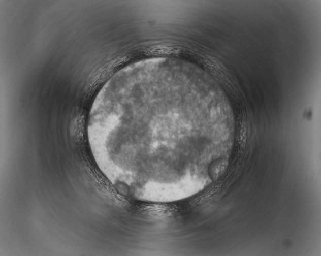 X0000115410326200912011346