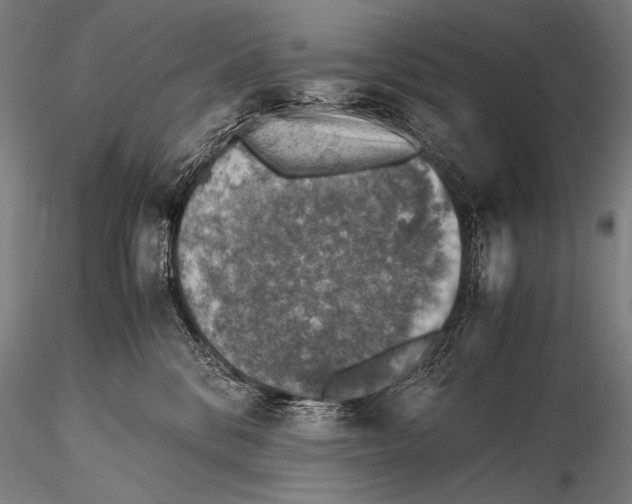 X0000115410328200912011346