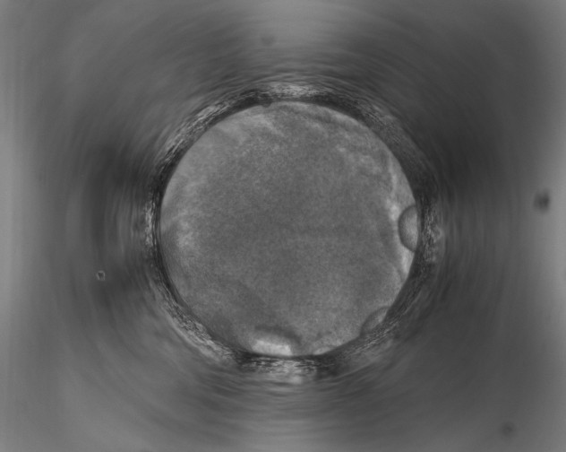 X0000115410330200912011346