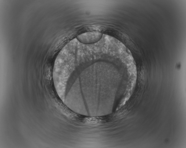 X0000115410331200912011346