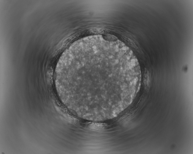 X0000115410332200912011346