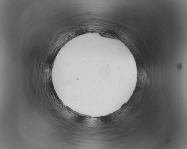 X0000115410333200912011346