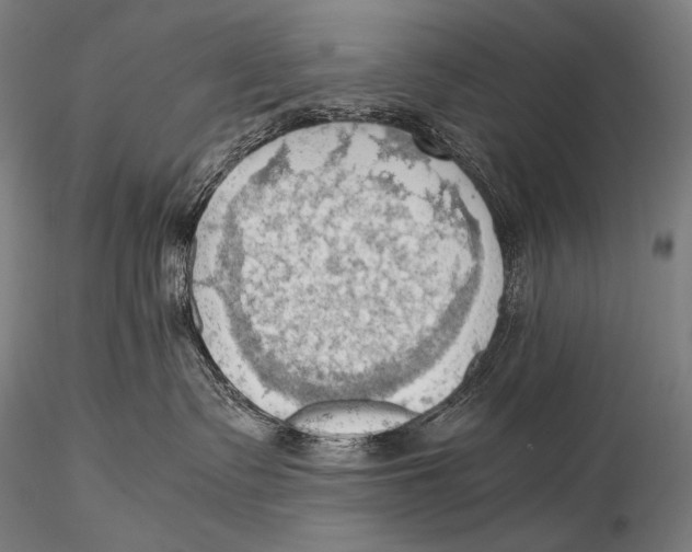 X0000115410335200912011346